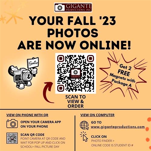  picture pictures
